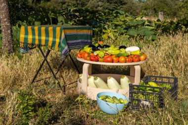 Üzerinde çeşitli sebzeler ve meyveler olan bir masa. Masa bir çimen tarlası ile çevrilidir.