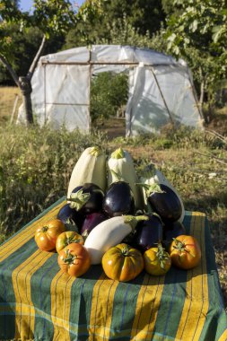 Domates, patlıcan ve kabak gibi çeşitli sebzelerle dolu bir masa. Sebzeler renkli ve davetkar bir şekilde düzenlendi.
