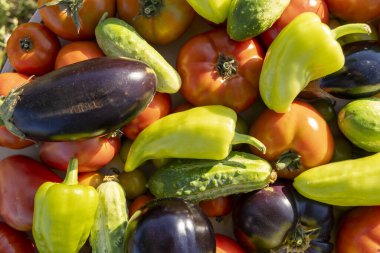 Bir kasede domates, salatalık ve biber gibi çeşitli sebzeler sergilenir. Sebzelerin renkleri canlı ve düzenleri görsel olarak çekici.