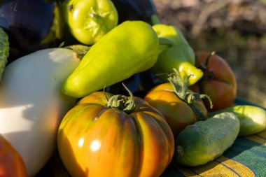 Masada domates, salatalık ve biber gibi çeşitli sebzeler sergilenir. Bereket ve tazelik kavramı, sebzeler olgunlaşmış ve yenmeye hazır.