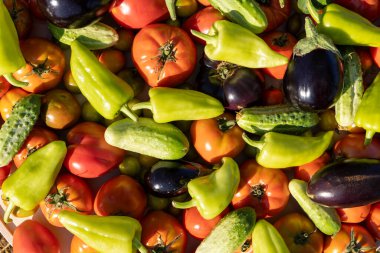 Domates, salatalık ve biber gibi çeşitli sebzeler üst üste yığılır.
