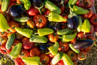 Domates, salatalık ve biber gibi çeşitli sebzeler üst üste yığılır.