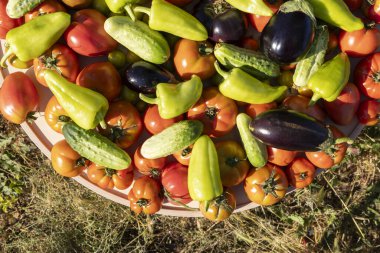 Domates, salatalık ve biber gibi çeşitli sebzeler bir masanın üzerine yayılır. Bereket ve tazelik kavramı, sebzeler olgunlaşmış ve yenmeye hazır.