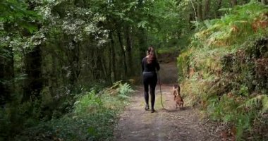 Kadının ve iki köpeğinin eğrelti otlarıyla yemyeşil bir ormanda yürürken çekilmiş bir fotoğrafı. Kadın siyah gömlek ve pantolon giyiyor..
