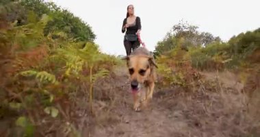 Düşük açılı bir kadın ve köpekleri bir ormanın yanındaki tarlada yürürken kadın siyah bir gömlek ve siyah pantolon giyiyor..