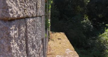 An abandoned ruin of a stone house with a wooden roof and doorway with vines growing on the stone walls in the forest. Pan left shot.