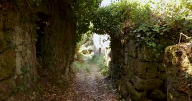 A path through a forest with a stone archway leads to a spooky abandoned village. The stone houses are dilapidated and ivy is growing on the walls.