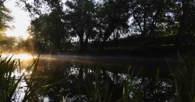 A misty forest with a stream of water. The orange sun is shining through the trees with a bright red and orange colorful atmosphere. Pan left shot.