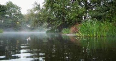 A calm lake with foggy mist in the background. The water is still and the trees are tall