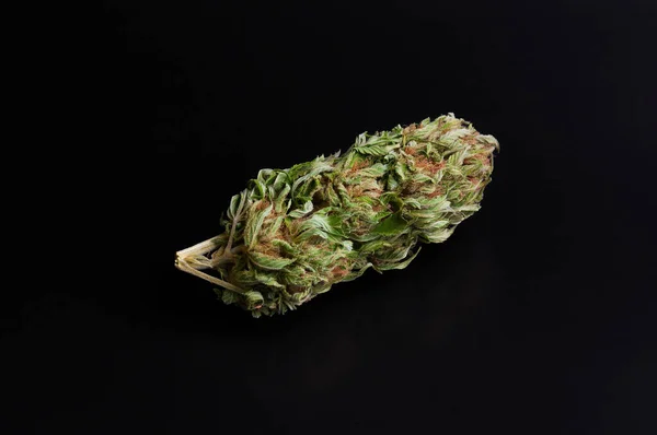 Marijuana Medicinal Flor Seca Close Fundo Preto — Fotografia de Stock