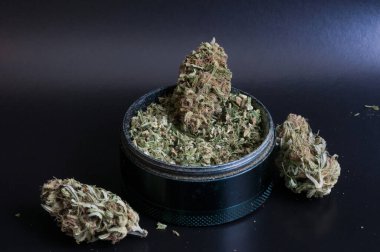 Tıbbi marihuana çiçekleri ve ezilmiş tomurcuklarla dolu öğütücü siyah arka plana yakın. 