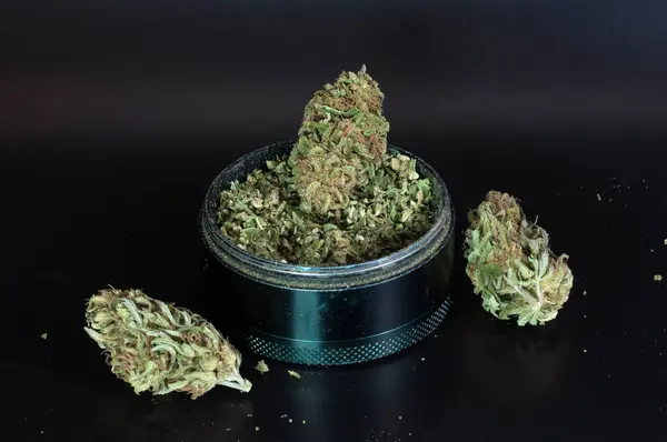 Dry Flowers Medical Marijuana Grinder Full Crushed Buds Close Black — Stock Photo, Image