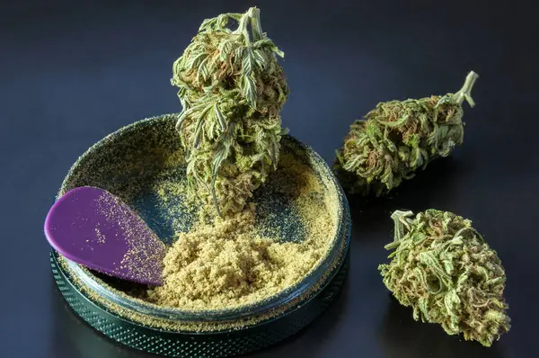 Mlýnek Bylinky Plný Pylu Konopí Obklopený Suchými Květy Lékařské Marihuany Stock Snímky