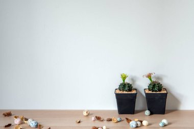 Ev bahçesinin iç kısmının bileşimi