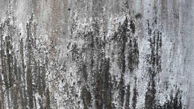 Çimento duvarının Grunge yüzeyi