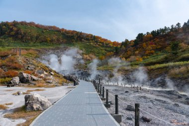 Japonya 'da sonbahar yaprağı mevsimi
