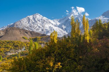 Pakistan Hunza 'da sonbahar sezonu