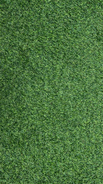 Текстура Зеленой Травы — стоковое фото