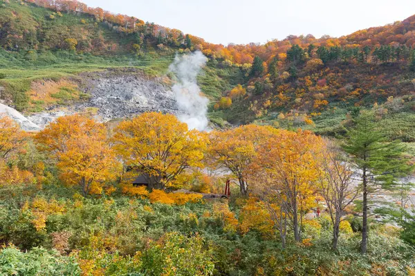 日本の紅葉の季節 — ストック写真