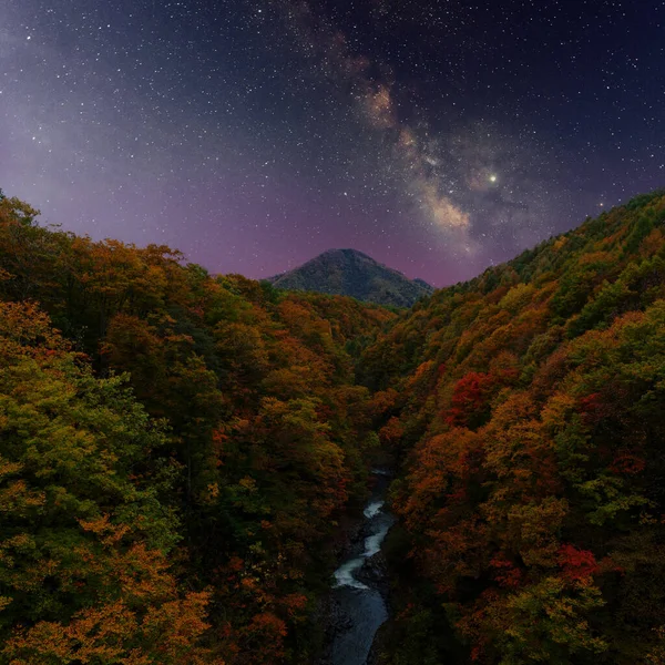 日本の紅葉の季節 — ストック写真
