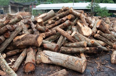 Palet - ahşap nakliye konteynırı, tahsilat için zemin