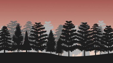 Orman ağaçlarının Silhouettes