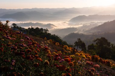 Mountian range landscape look from view point of Montawan Mountain in Tak province, Thailand