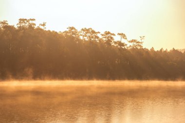 Beautiful nature scenic landscape view at peaceful lake in the morning at Baan Wat Chan, Chiangmai, Thailand