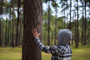 Woman hugging a big tree in the outdoor forest in Thailand