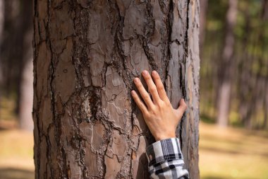 Woman hugging a big tree in the outdoor forest in Thailand