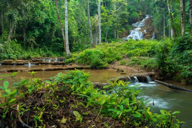 Jungle and waterfall stock photo in Tak province Thailand