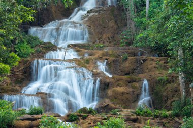 Jungle and waterfall stock photo in Tak province Thailand