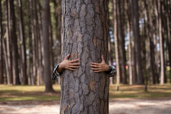 Woman hugging a big tree in the outdoor forest in Thailand