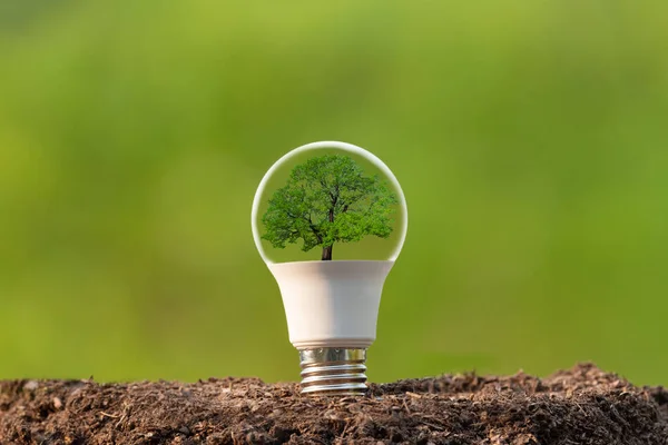 Eco Energibesparing Koncept Lampa Med Grön — Stockfoto