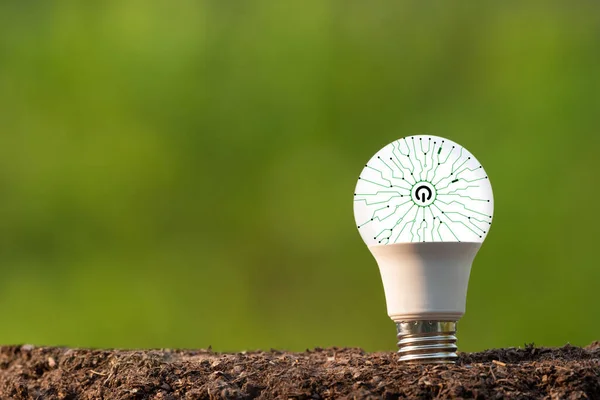Eco energy saving concept on lamp with green BG