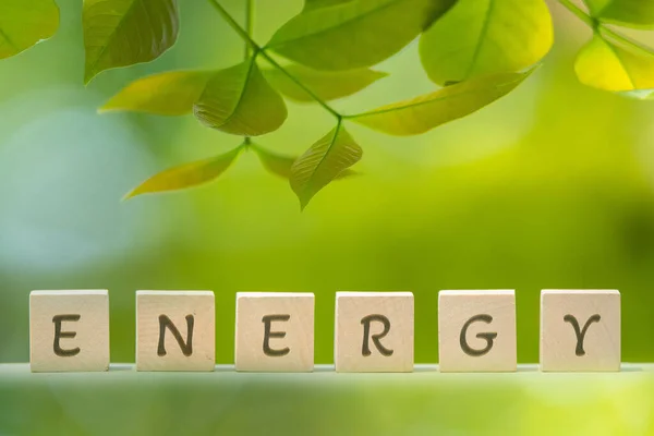 Eco Energiebesparende Concepttekst Houten Kist Met Groene — Stockfoto