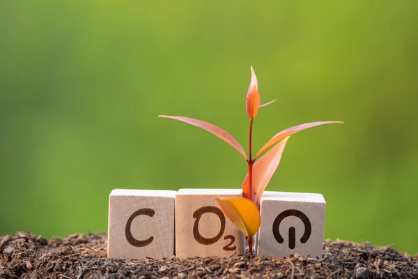 Környezetbarát Energiatakarékossági Koncepció Szövege Zöld Vel Ellátott Fadobozon — Stock Fotó