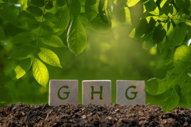 Çevre enerjisi tasarruf kavramı yeşil BG ile ahşap kutu üzerinde metin