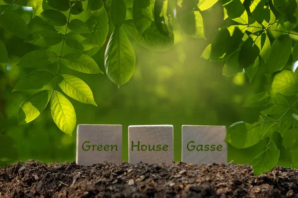 Öko Energiesparkonzept Text Auf Holzkiste Mit Grünem — Stockfoto