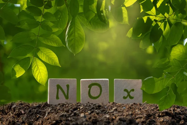 Eco Energy Saving Concept Text Wooden Box Green — Stock Photo, Image