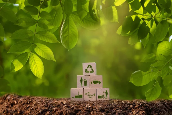 Környezetbarát Energiatakarékossági Koncepció Szövege Zöld Vel Ellátott Fadobozon — Stock Fotó