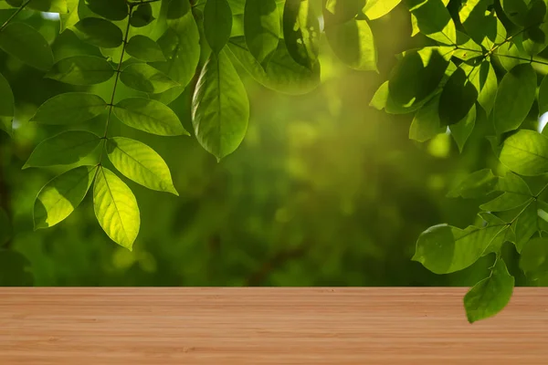 Naturalny Wyświetlacz Emthy Miejsca Zielony Produkt — Zdjęcie stockowe