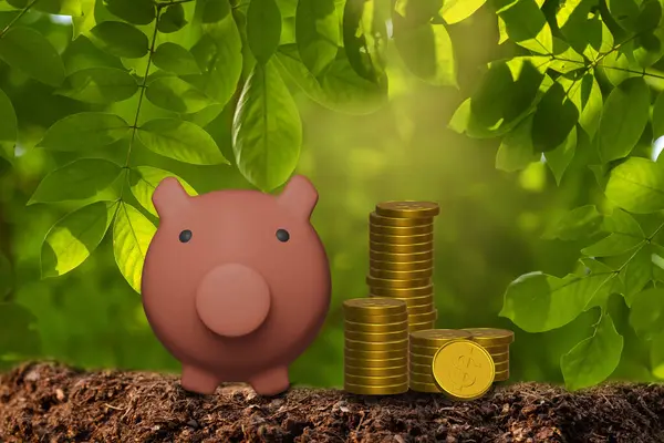 红色可爱的小猪银行和硬币 — 图库照片
