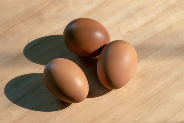 Brune Eggene Trebordet – stockfoto