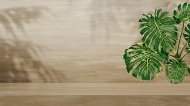 Duvarında ve zemininde yaprak gölgesi olan boş bir teras.