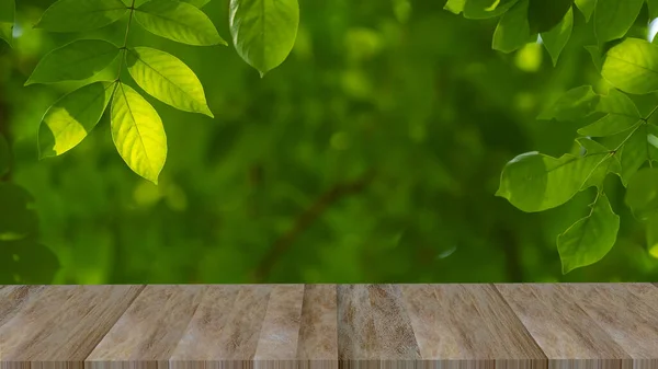 Drewniany Chodnik Ogrodzie — Zdjęcie stockowe
