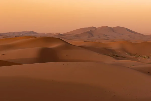Hermoso Desierto Del Sahara Morrocco — Foto de Stock