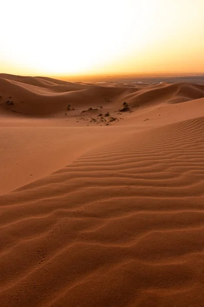 Piękna Pustynia Sahara Morrocco — Zdjęcie stockowe