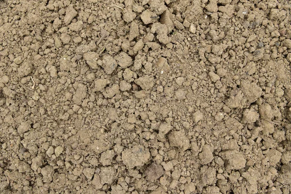 Почва Растительного Фона — стоковое фото