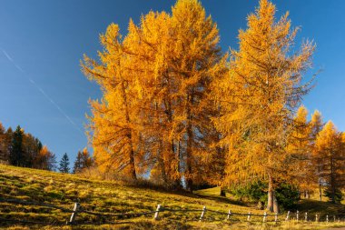 Muhteşem manzara ve Becco di Mezzod sonbahar Dolomite İtalya 'sındaki Federa Gölü' nün zirvesi.